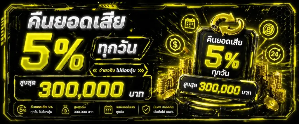 คืนยอดเสีย 5% ทุกวันสูงสุด 300,000